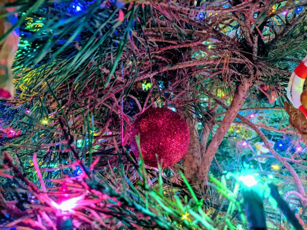 img_20191208_1843272